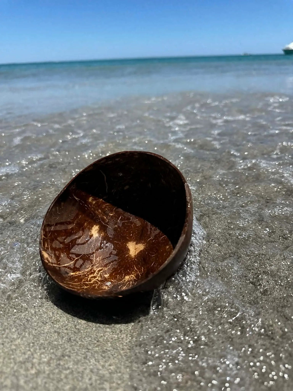 Coconut shell cup on the shoreline with the sea behind