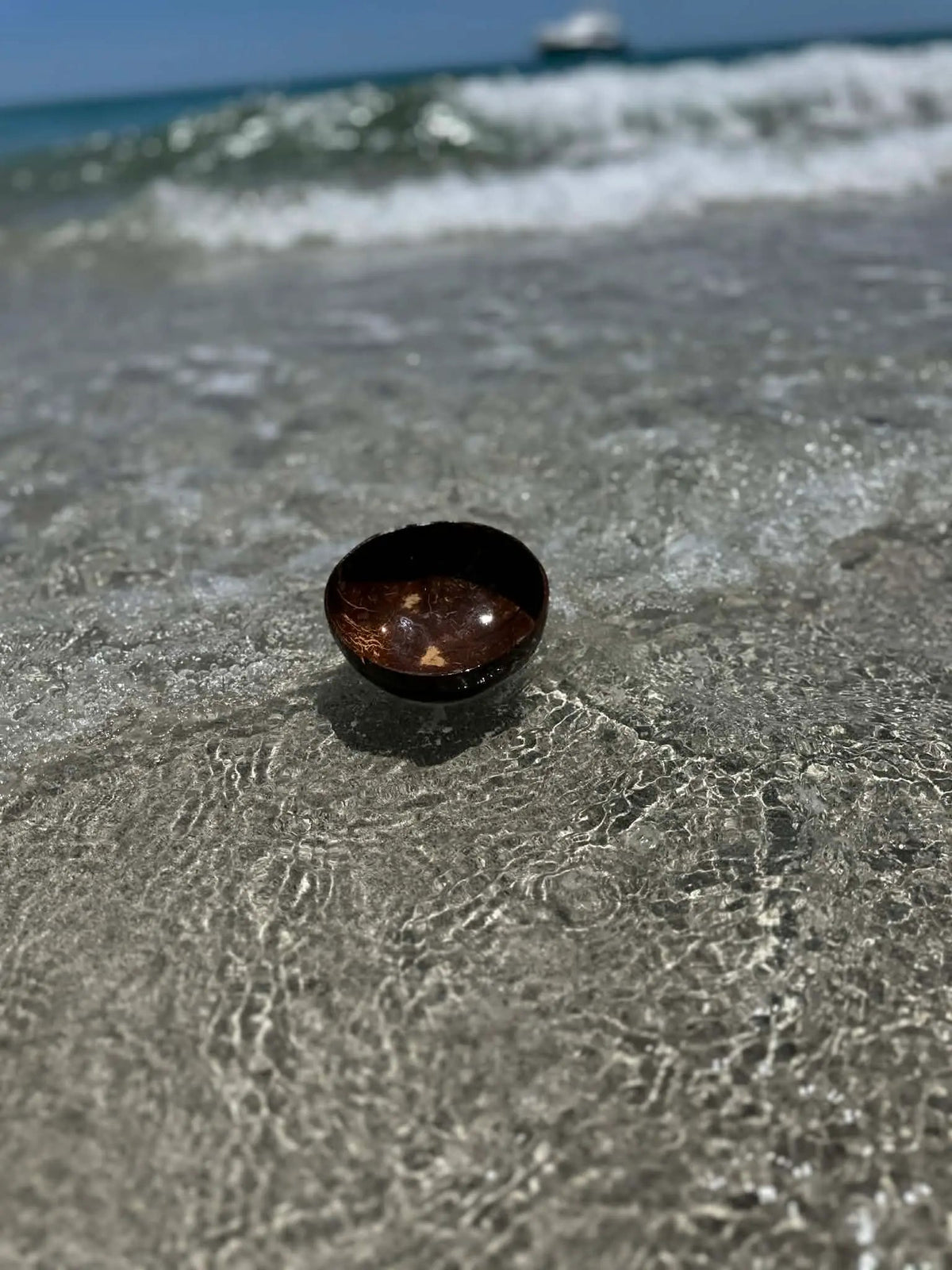 Coconut shell cup on wet sand at the water's edge
