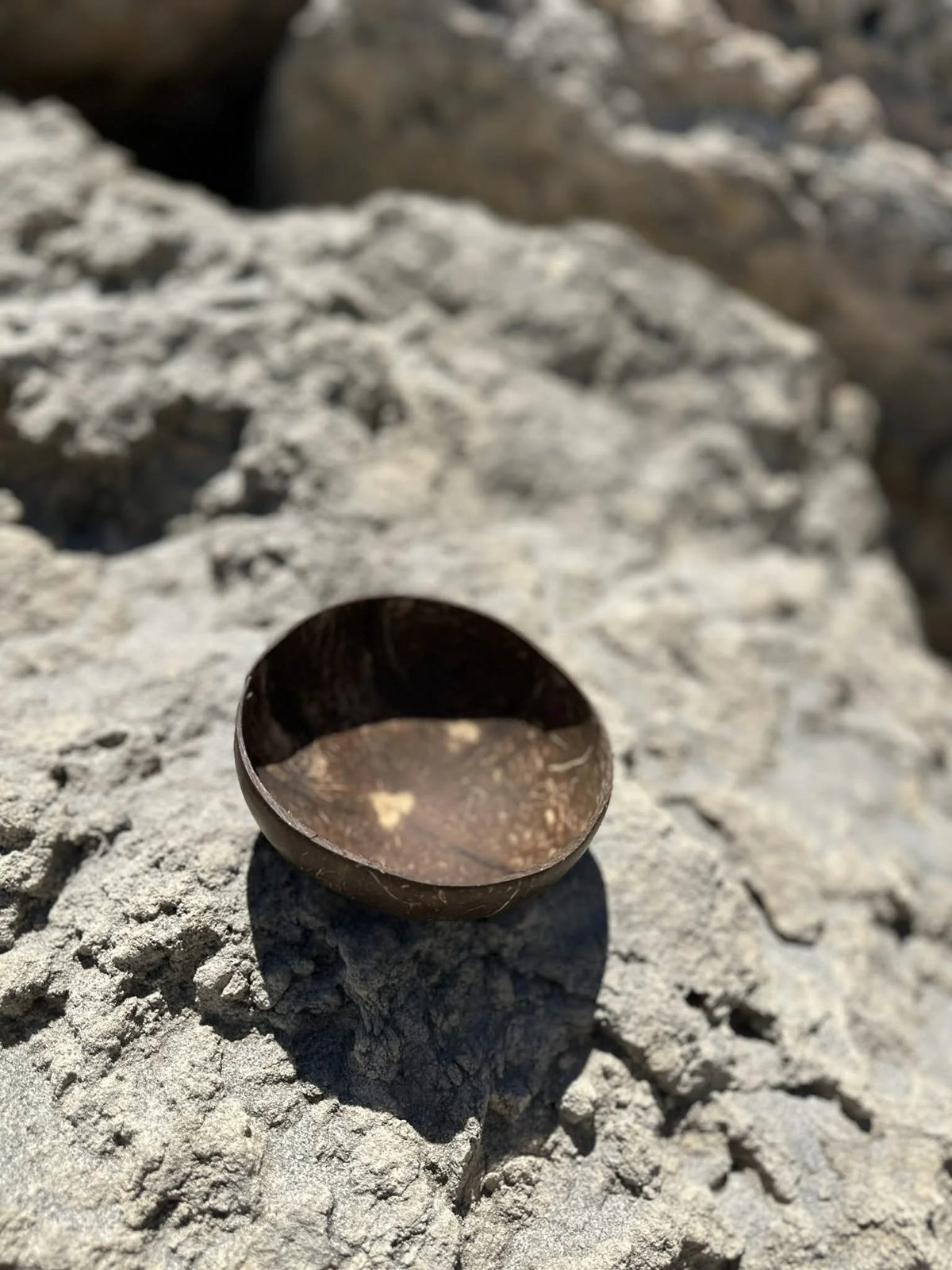 Coconut shell kava cup on a rock